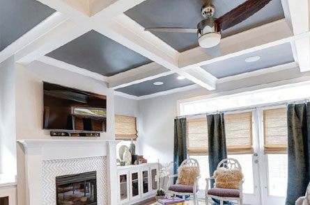 living room Ceiling & Wall Treatments